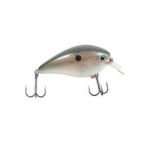 Strike King KVD Square Bill 1.0 Green Gizzard Shad