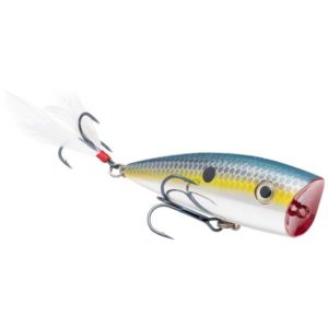 Strike King KVD Splash Topwater Lure - Chrome Sexy Shad