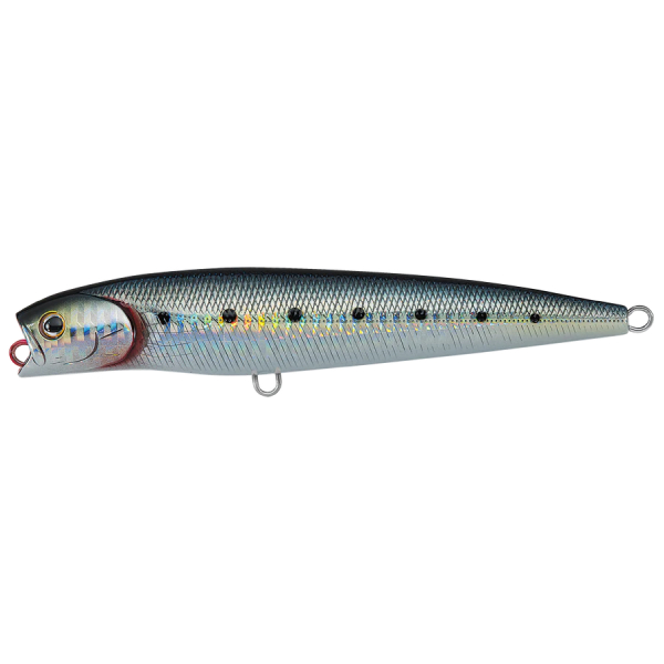 Daiwa Saltiga Dorado Pencil Floating Fishing Lure, 7.1" - Maiwashi 1 Daiwa Saltiga Dorado Pencil Floating Fishing Lure - Maiwashi