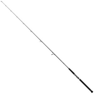 Daiwa Proteus Boat Spinning Rod