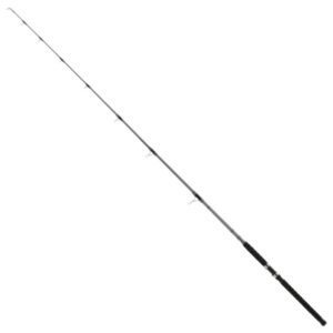 Shimano Saguaro B Spinning Rod