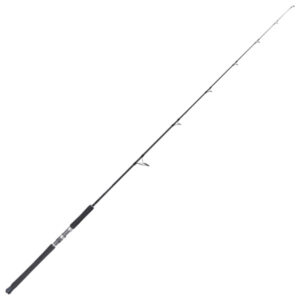 Shimano Terez Fishing Rod