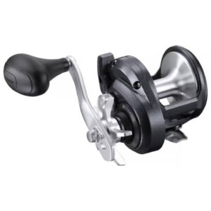 Shimano Torium Conventional Reel, TOR20HGA