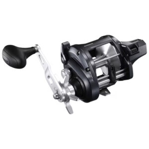 Shimano Tekota A Conventional Reel, TEK800PGA
