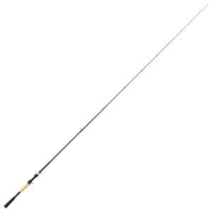 Shimano Expride Casting Rod