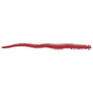 Berkley Gulp! Saltwater Sandworm Soft Baits, 6" - Bloody