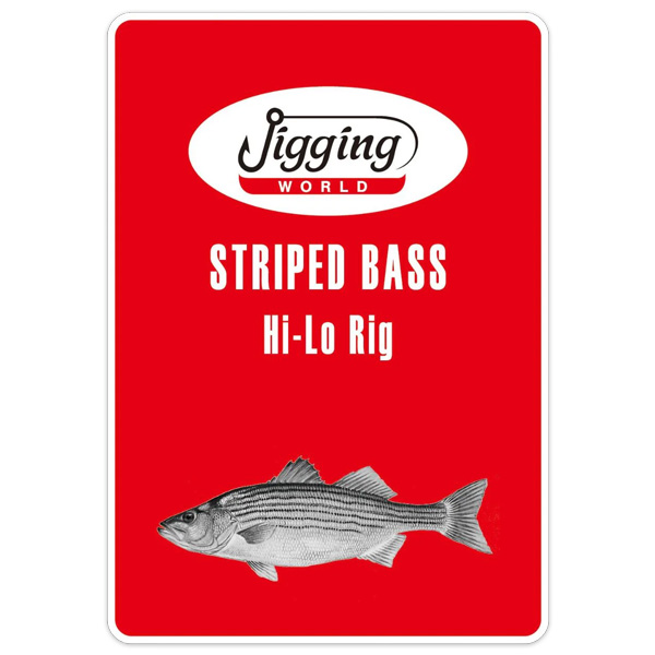 Jigging World Striped Bass Hi-Lo Rig, 5/0 1 Jigging World Striped Bass Hi-Lo Rig