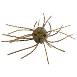 Strike King Tumbleweed Salted Soft Bait Lures - Green Pumpkin